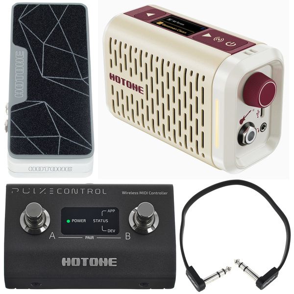 Hotone Pulze Mini Control Exp Bundle