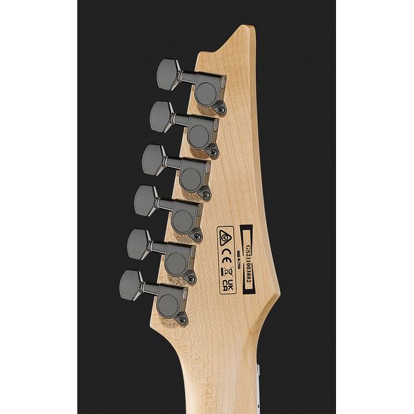 Ibanez GRGR221PA-AQB Bundle