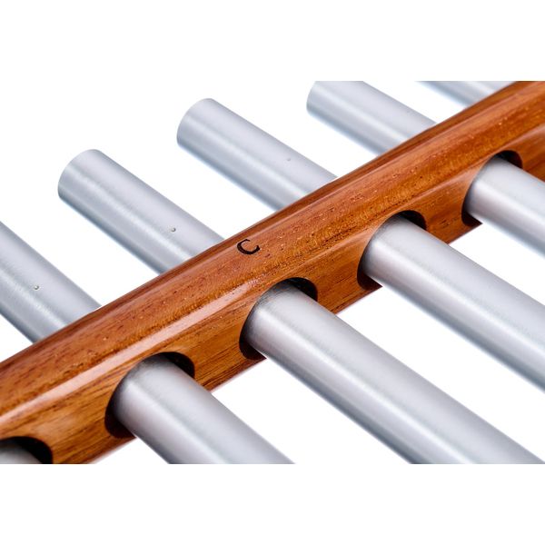 Svaram Nadi Tarang Durga