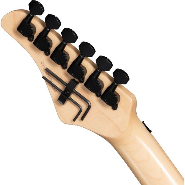 Kramer Guitars Pacer Wild Zebra