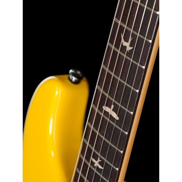 PRS SE Silver Sky Dandy Lion