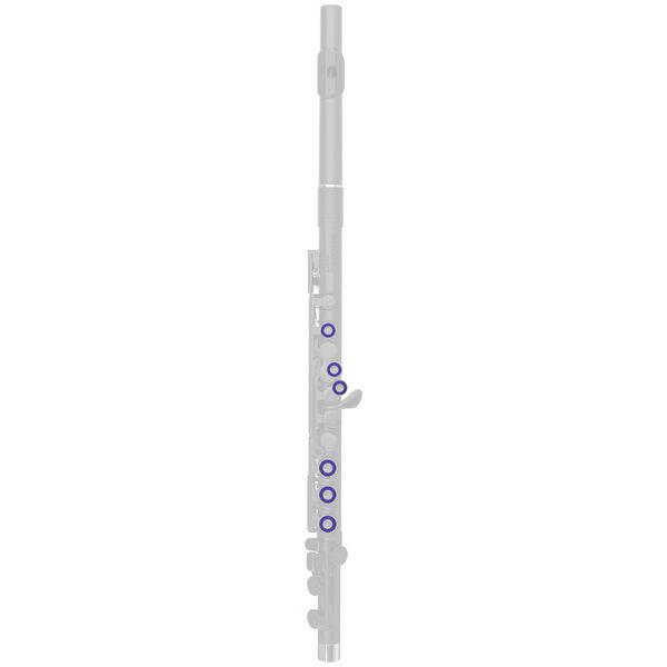 Nuvo Band Plugs for Flute Violet
