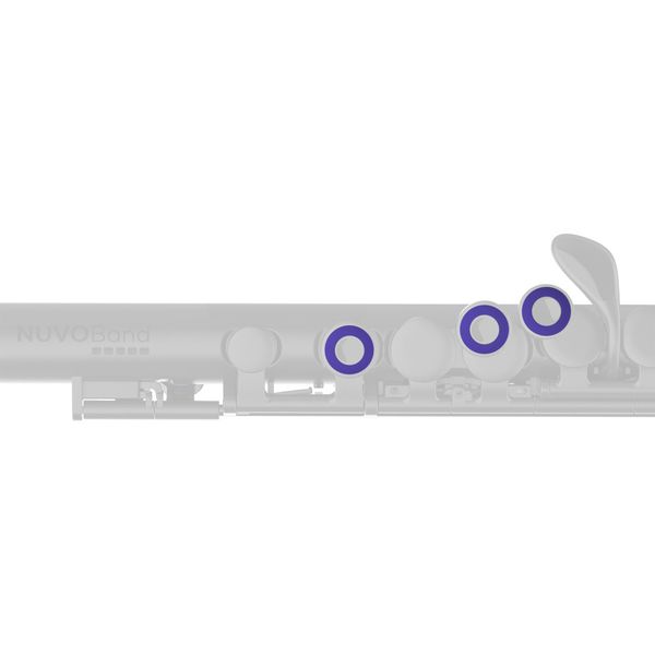 Nuvo Band Plugs for Flute Violet