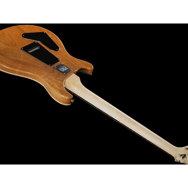 PRS CE 24 LTD Carroll Blue