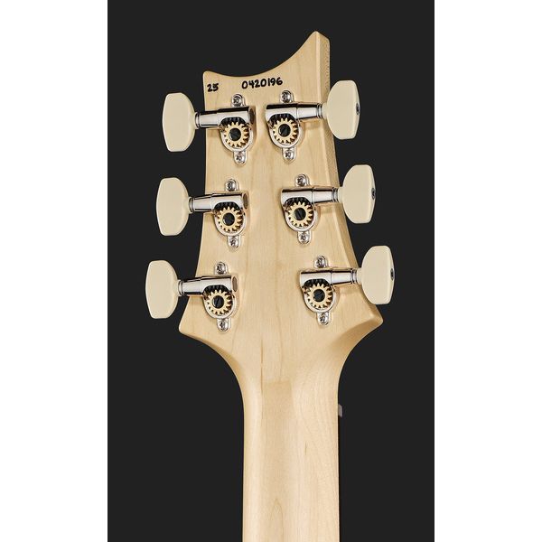 PRS CE 24 LTD Carroll Blue