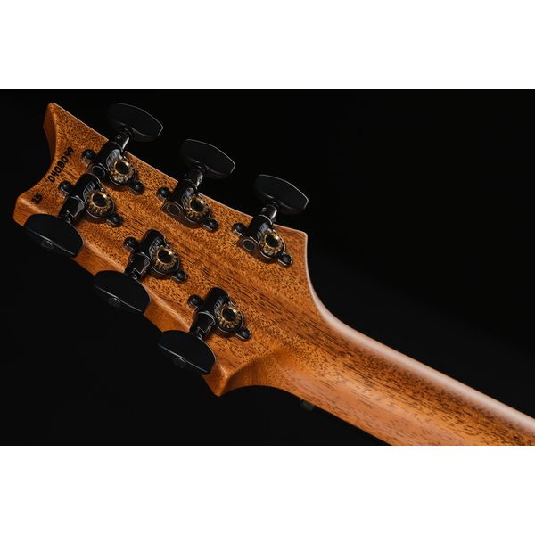 PRS 40th Anniversary Custom 24 FWB