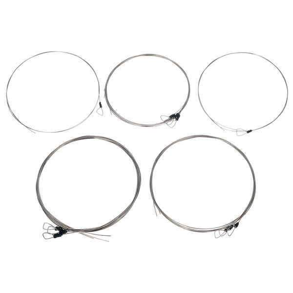 Svaram Svaraveena Strings Set