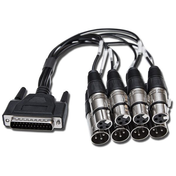 Marian Clara A/D XLR