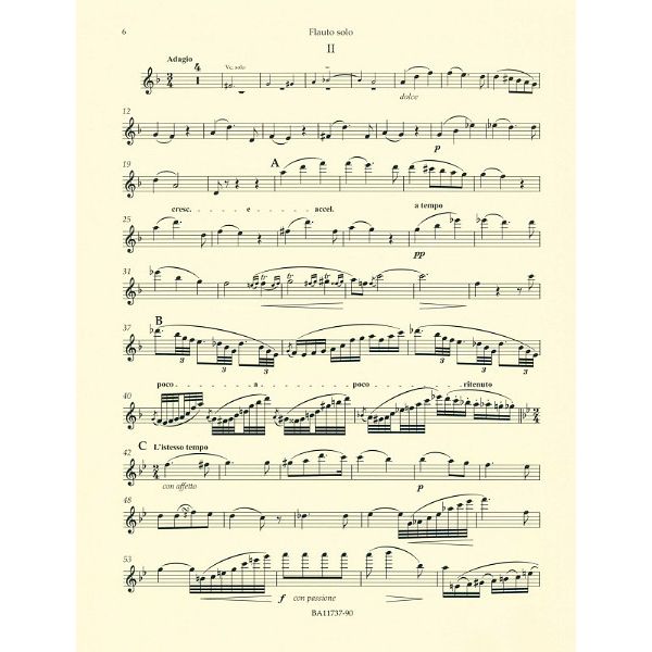 Bärenreiter Blodek Konzert für Flöte D-Dur
