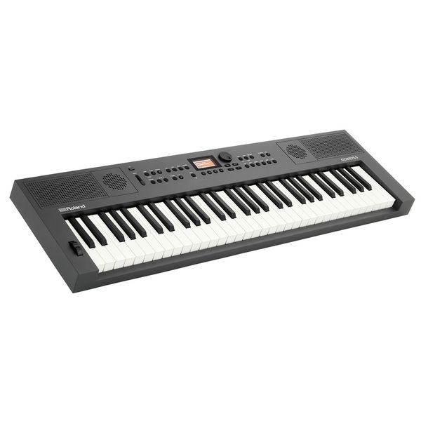 Roland GO:KEYS 5 GT Cover Bundle