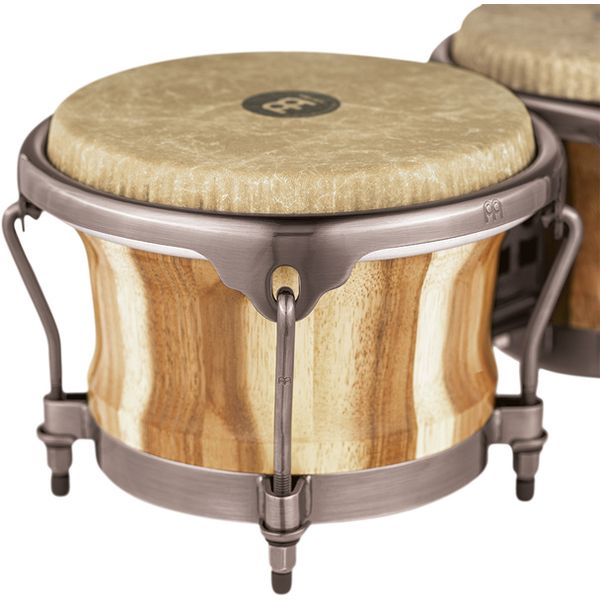Meinl Artist Diego Gale Bongos