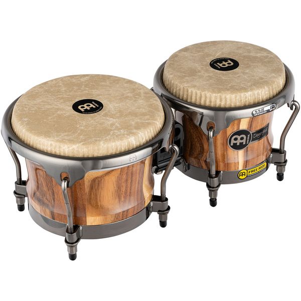 Meinl Artist Diego Gale Bongos