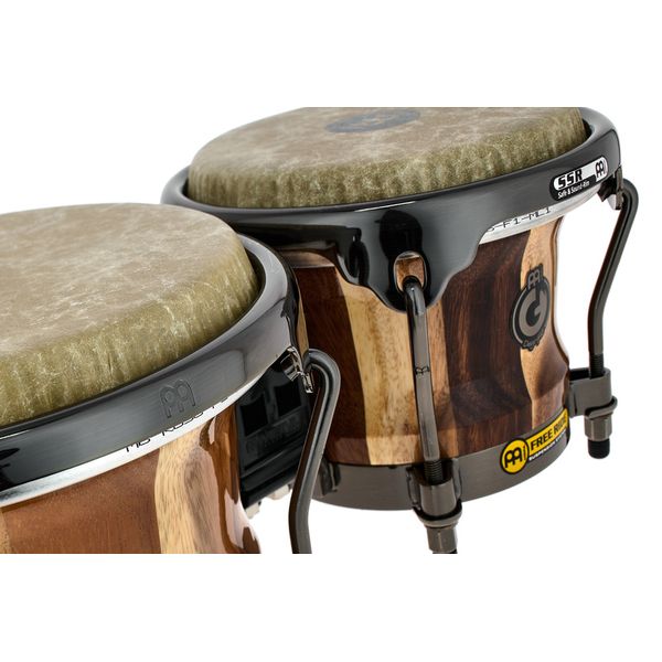 Meinl Artist Diego Gale Bongos