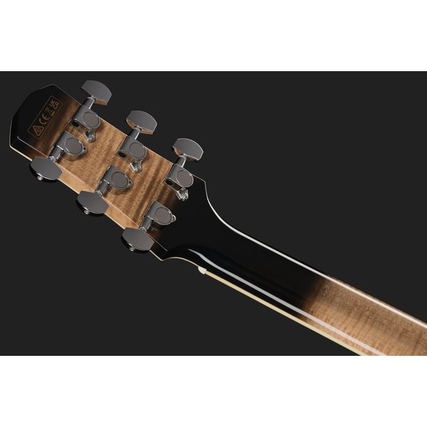 Ibanez AAM370M1CE-TPA