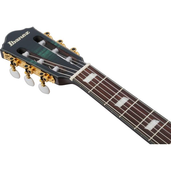 Ibanez FRH20FMN-DGL