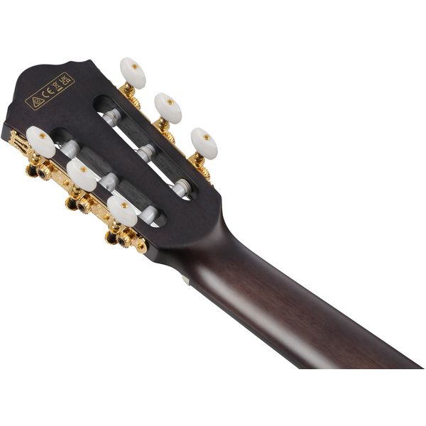 Ibanez FRH20FMN-DGL