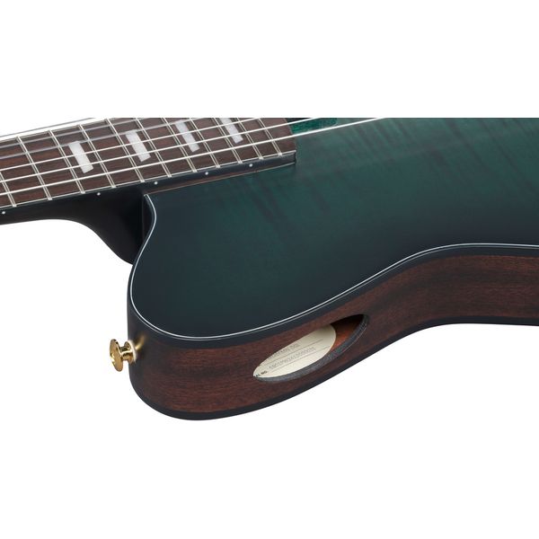 Ibanez FRH20FMN-DGL