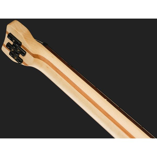 Ibanez EHB600-PRM