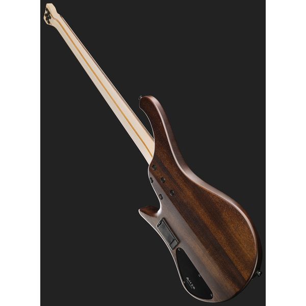 Ibanez EHB600-WNF