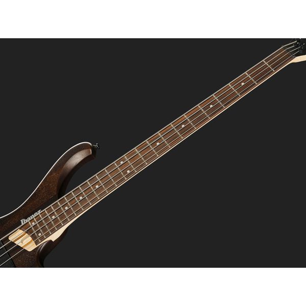 Ibanez EHB600-WNF