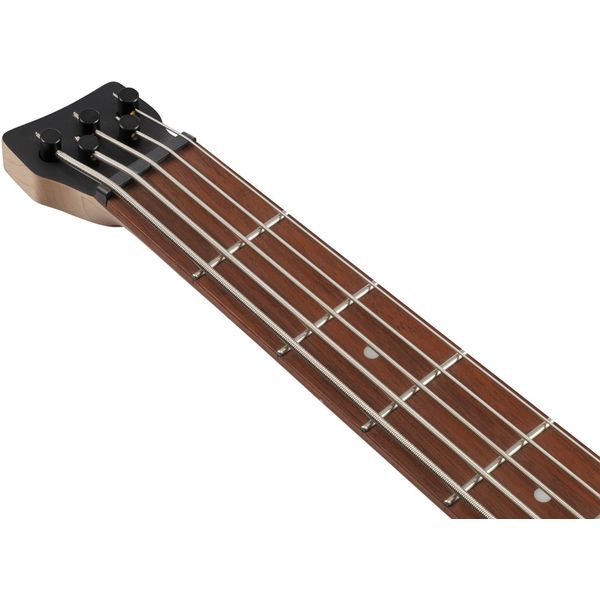 Ibanez EHB605-PRM