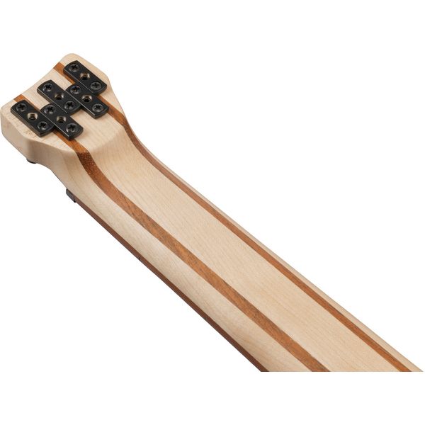 Ibanez EHB605-PRM