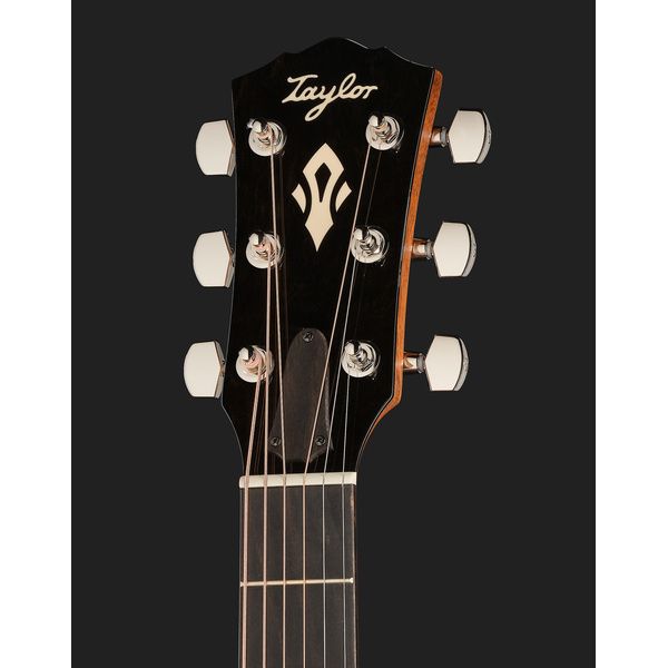 Taylor Gold Label 514e SB Cream