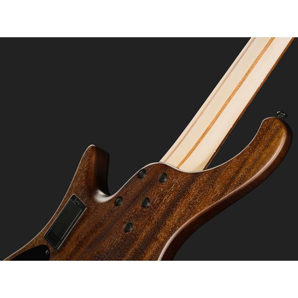 Ibanez EHB605-WNF