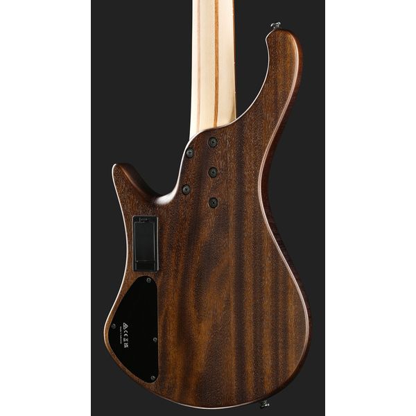 Ibanez EHB605-WNF