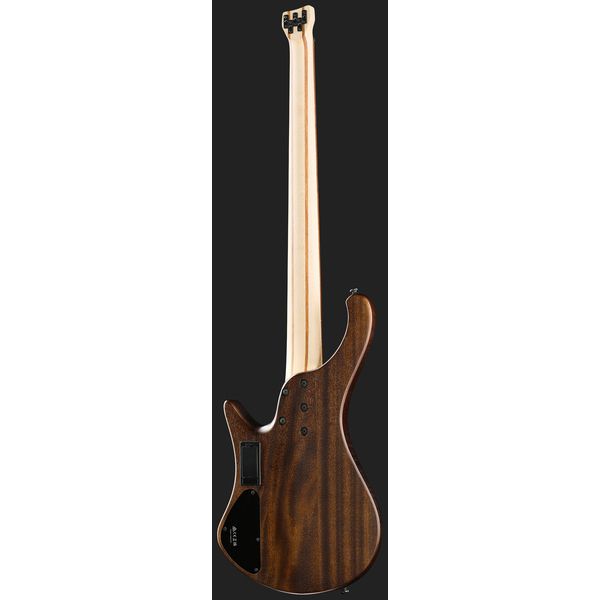 Ibanez EHB605-WNF