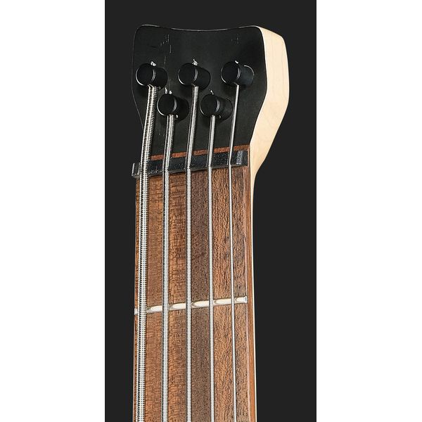 Ibanez EHB605-WNF