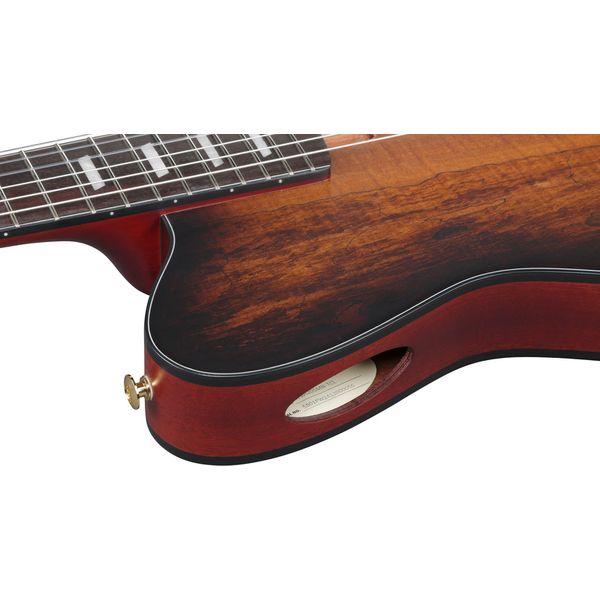 Ibanez FRH20SMN-TCL