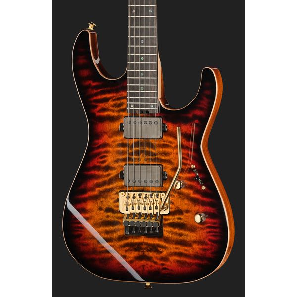 ESP M-II FR QM TESB GH EMG