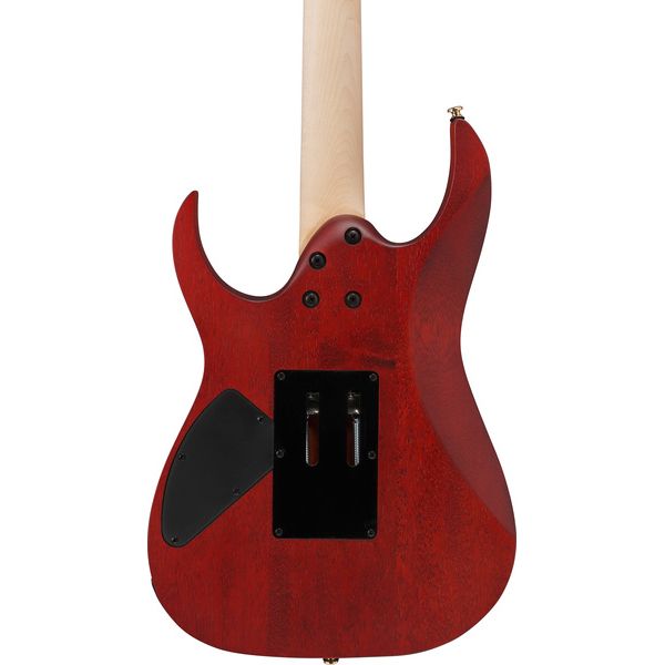 Ibanez RGR420FMSPTGF