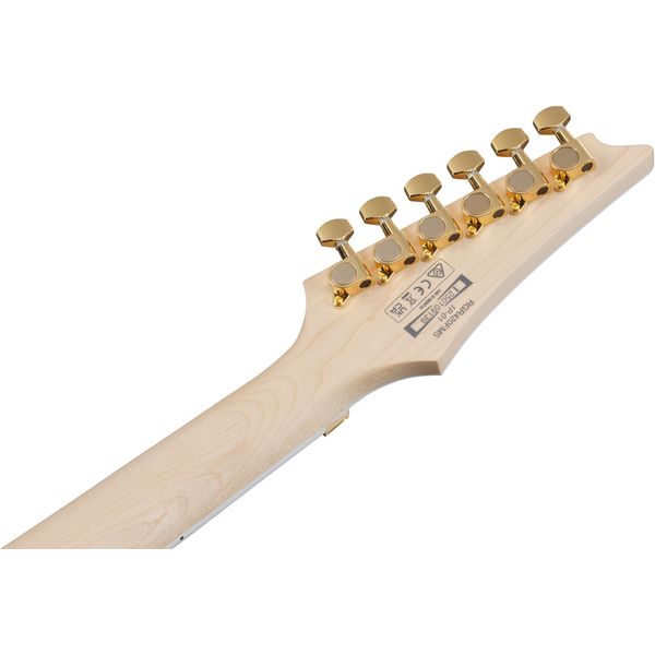 Ibanez RGR420FMSPTGF