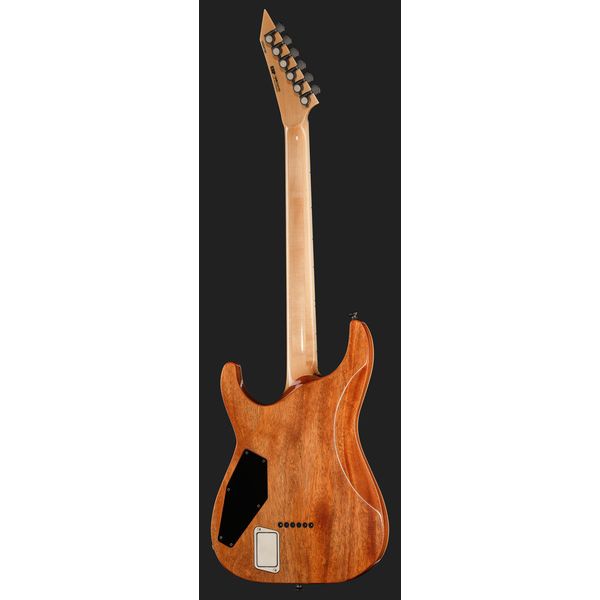 ESP HORIZON II SC EMG BH RRM