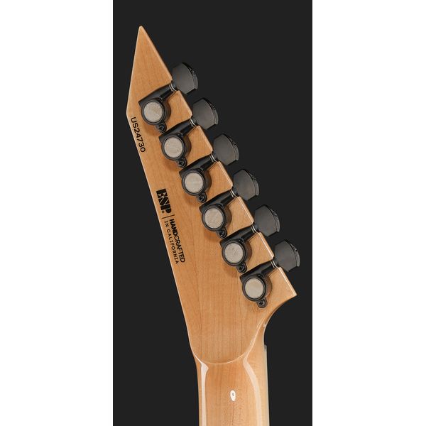 ESP HORIZON II SC EMG BH RRM