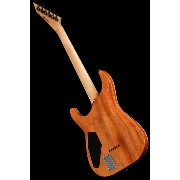 ESP HORIZON II SC EMG BH RRM