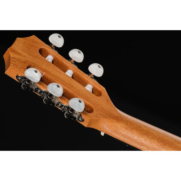 Taylor Sunset Blvd 214ce-N Plus