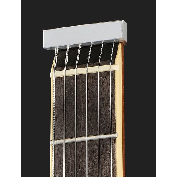 Traveler Guitar EG-1 Deluxe Gold