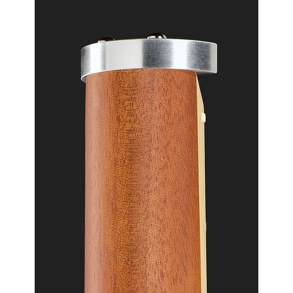 Traveler Guitar EG-1 Deluxe Gold