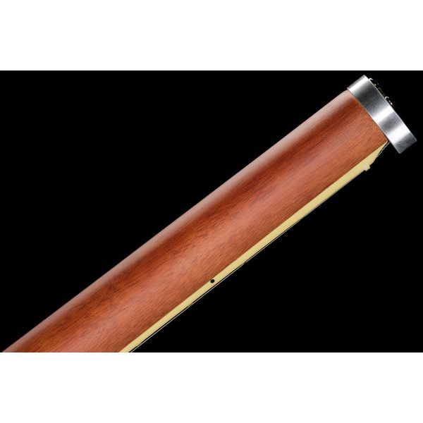 Traveler Guitar EG-1 Deluxe Gloss Black