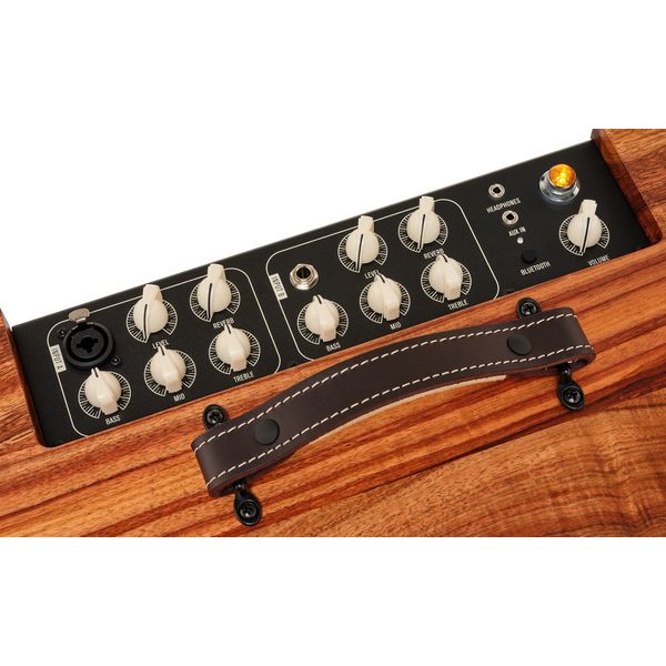 Taylor Amp Circa 74 AV150-10 Koa