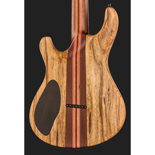 Mayones Guitars Regius Core 7 Trans Graphite