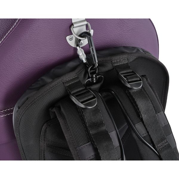 bam ETRO1005XLVT Cello Case 4/4