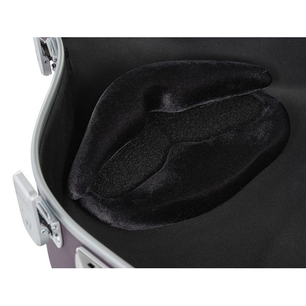 bam ETRO1005XLVT Cello Case 4/4