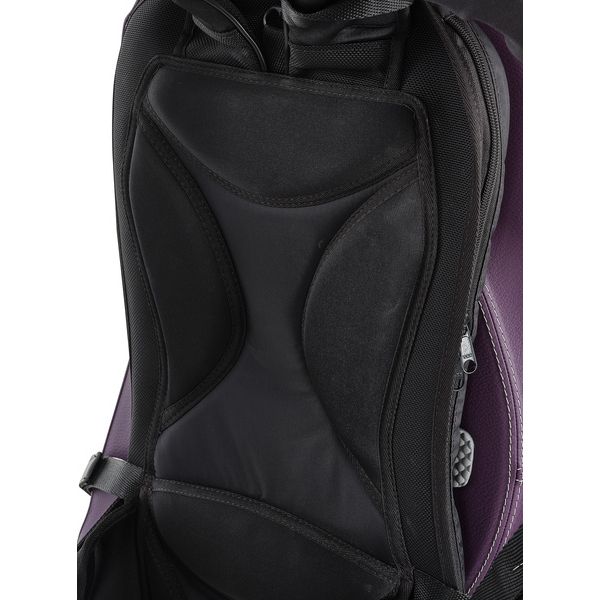 bam ETRO1005XLVT Cello Case 4/4