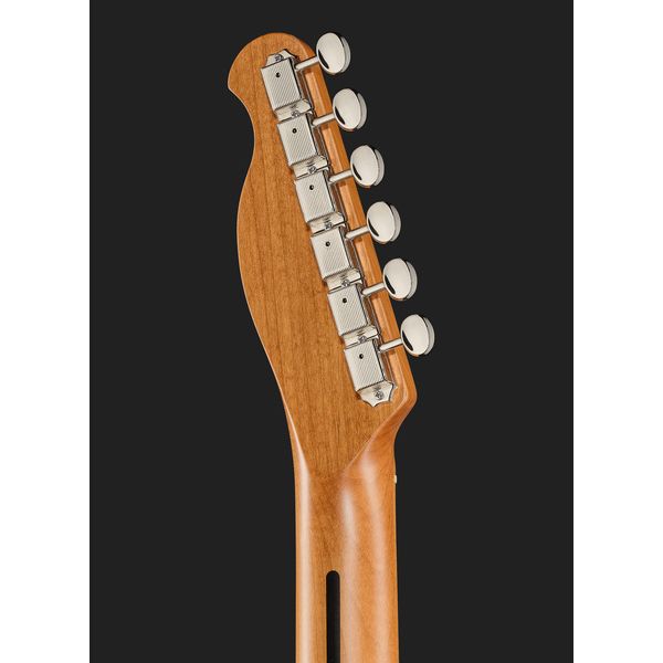 Harley Benton TE-62 CC Tremolo LPB