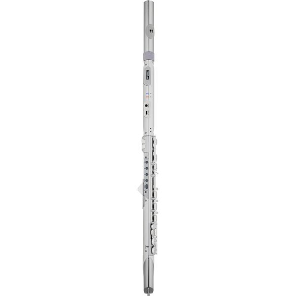 Roland Aerophone AE-Brisa