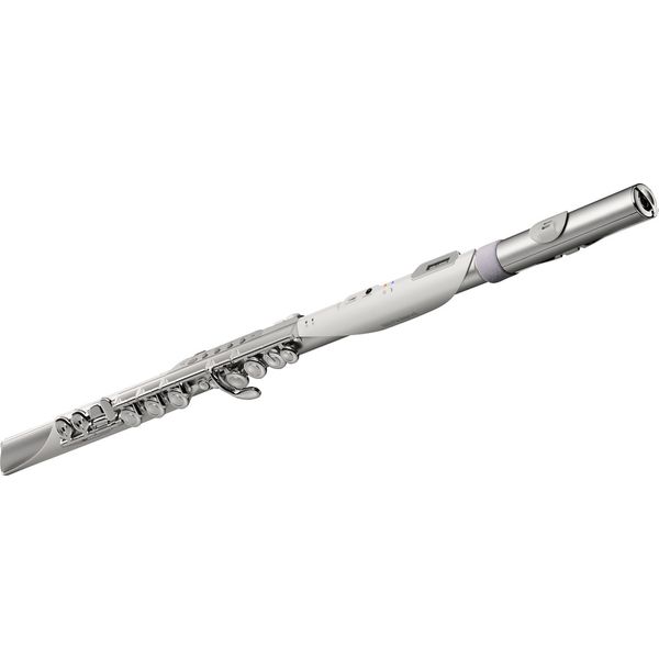 Roland Aerophone AE-Brisa